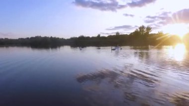 Gölde yüzen bir kuğu sürüsünün hava aracı görüntüleri..