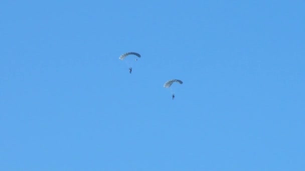 Paracadutista Militare Cade Paracadute — Video Stock