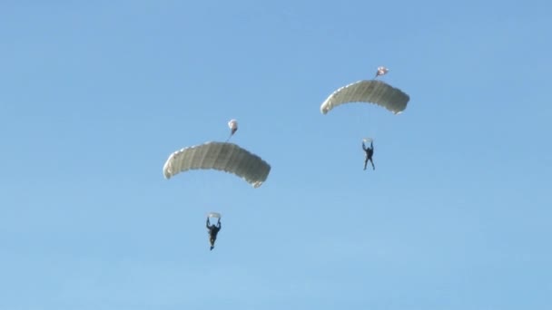 Een Militaire Parachutist Valt Een Parachute — Stockvideo
