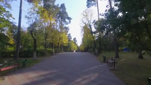 Veduta Aerea Una Passerella Parco Ricreativo Nella Campagna Nei Sobborghi — Video Stock