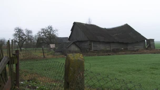 02.13.2019 Opsa Belaus.Stary zielony dom wiejski z podwórkiem. Szare gęsi pasą się na wiejskim dziedzińcu. Widok przez metalową siatkę. Zwierzęta 4k4k. stary opuszczony dom uszkodzony i otwarte drzwi i okna — Wideo stockowe