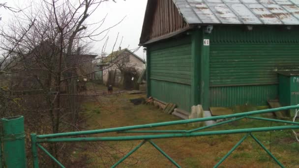 02.13.2019 Opsa Belaus.Casa antiga e verde com quintal. Gansos cinzentos pastam em um pátio da aldeia. Visualize através de uma malha de metal. Animais de estimação 4kDog em uma cadeia no quintal perto de uma casa no campo. Casa verde. panorama. 4k — Vídeo de Stock