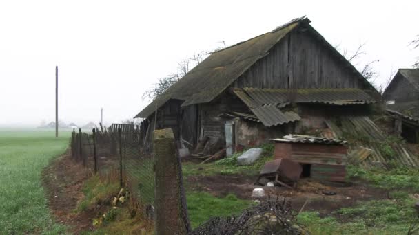 02.13.2019 Opsa Belaus.Casa antiga e verde com quintal. Gansos cinzentos pastam em um pátio da aldeia. Visualize através de uma malha de metal. Animais de estimação 4k4k. casa abandonada velha danificada e aberta porta e janelas — Vídeo de Stock