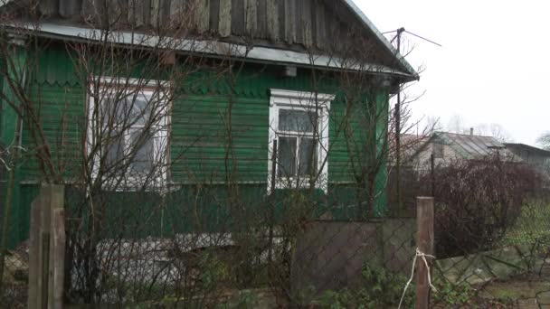 02.13.2019 Opsa Belaus.Old green village house with yard. 회색 기러기들 이마을 뜰에서 풀을 뜯고 있습니다. 금속 망을 통해 바라본다. 4kAbandoned 오래 된 목조 건물 이 파괴되었습니다. 창문 과 벽에 풍화된 페인트로 손상된 오래 된 지붕. 클로즈업. 4k — 비디오