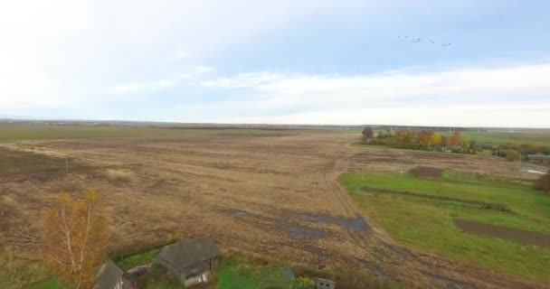 Vue sur la campagne avec un troupeau d'oiseaux. Champs pulvérisés pour semer des cultures. La lutte contre la faim. La crise de l'agriculture. 4k 