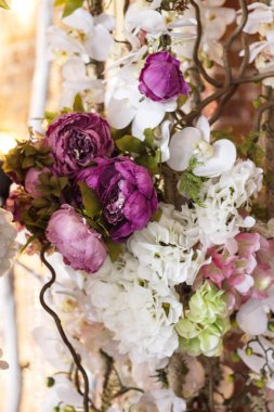 Yumuşak pembe mavi arka planını çiçekler