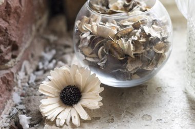 İşte kuru beyaz çiçek