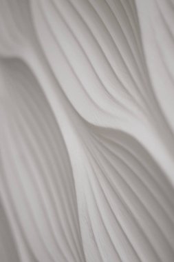 alçı doğrusal dekorasyon