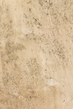 ahşap dokulu paneli 