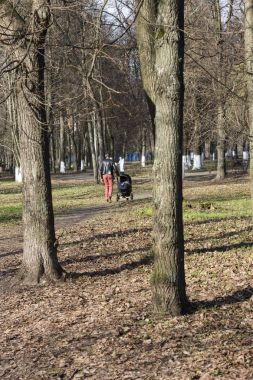 Güneş Park antik ağaçlar vardır. Burada insanlar yürümek