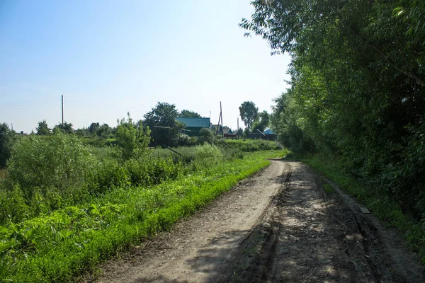 Paisaje a través de los árboles. camino de tierra en el pueblo . —  Fotos de Stock