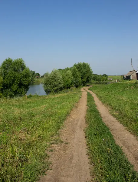 Ağaçların arasından manzara. köyde toprak yol. — Stok fotoğraf