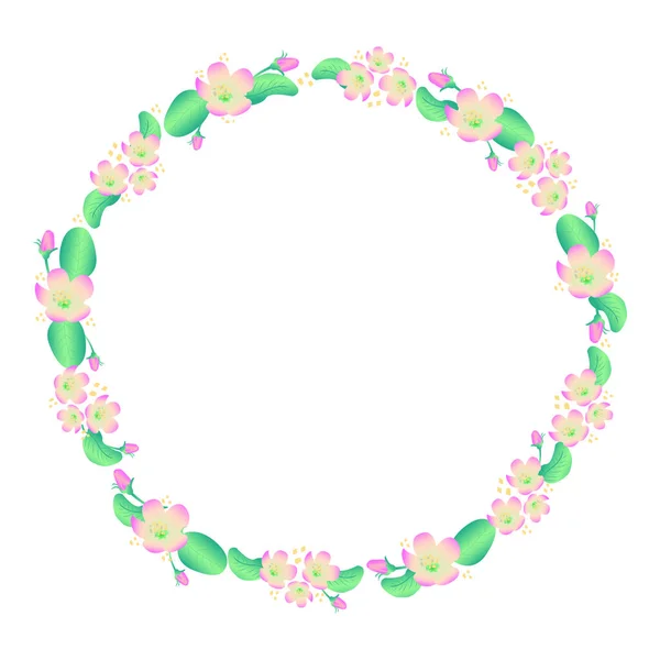 Blommande Äpple Blommor Våren Krans Isolerad Vit Bakgrund Vektor — Stock vektor