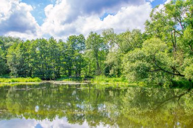 Manzaralı ağaçlar ve su ile.