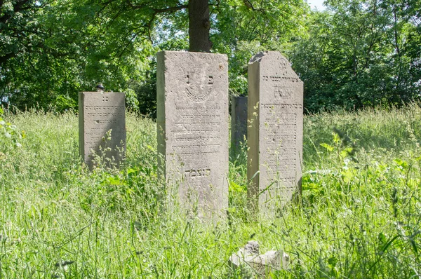 Gdaňsk, Polsko - 14. června 2017: Staré hroby v židovský hřbitov Gdaňsk. — Stock fotografie