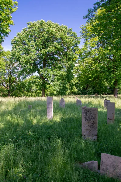 Gdaňsk, Polsko - 14. června 2017: Staré hroby v židovský hřbitov Gdaňsk. — Stock fotografie