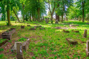 Stogi, Polonya - 18 Haziran 2017: Eski mezarların kuzeyinde Polonya en büyük Mennonite mezarlıkta.