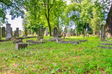 Stogi, Polonya - 18 Haziran 2017: Eski mezarların kuzeyinde Polonya en büyük Mennonite mezarlıkta.