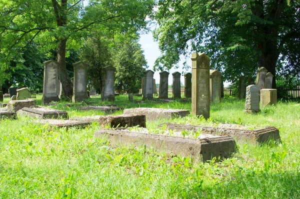 Stogi, Πολωνία - 18 Ιουνίου 2017: Παλιοί τάφοι στο μεγαλύτερο νεκροταφείο Μεννονιτών στο Βόρεια Πολωνία. — Φωτογραφία Αρχείου