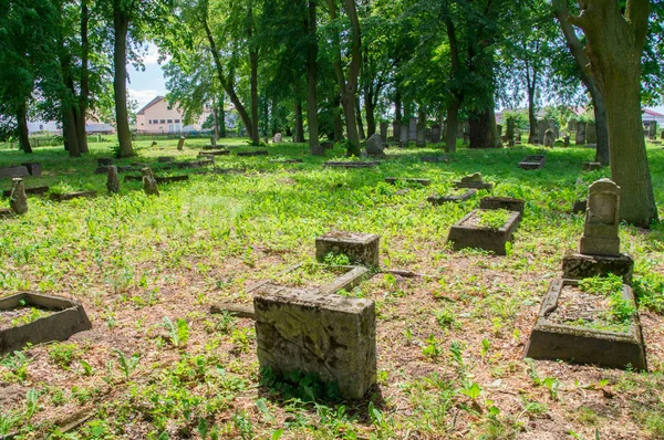 Stogi, Poland - June 18, 2017: Old graves at The biggest Mennonite Cemetery in north of Poland. — Stock Photo, Image