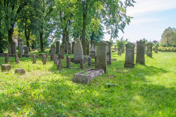 Стоги, Польша - 18 июня 2017 г.: Старые могилы на самом большом Меннонитском кладбище на севере Польши . — стоковое фото