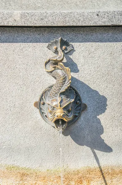 Torun, Polonya - 29 Eylül 2017: Eski kasaba Torun Çeşmede balıkta.