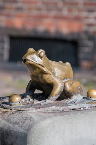 Torun, Poland - September 29, 2017: Close-up for brass frogs at Raftsman Statue. — Stock Photo, Image