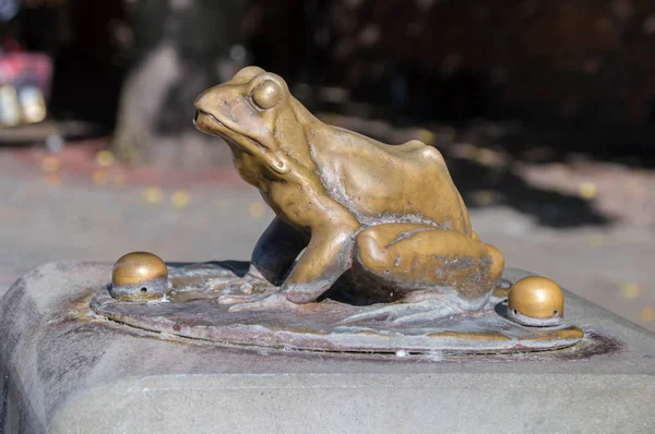 Torun, Poland - September 29, 2017: Close-up for brass frogs at Raftsman Statue. — Stock Photo, Image