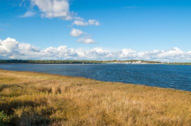 Cennet Kuşları doğa rezerv Gdansk Sobieszewo Island.
