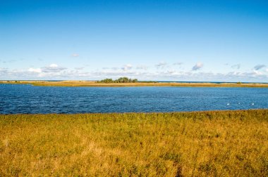 Cennet Kuşları için görünümü (Lehçe: Ptasi Raj) tabiatı Gdansk Sobieszewo Island.