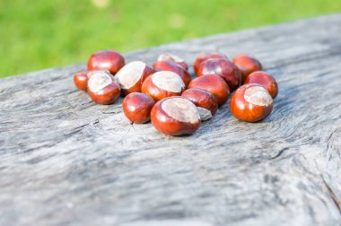 At kestanesi ahşap tablo.