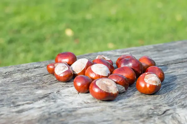 Horse chestnuts on wooden table. — Stock Photo, Image