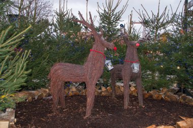 Gdansk, Polonya - 7 Aralık 2017: Reindeers Noel dekorasyon Noel üzerine Targ Weglowy Gdansk eski şehir adil olarak.