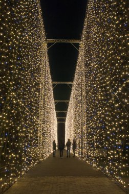 Gdansk, Polonya - 8 Aralık 2017: Kış Noel aydınlatma gece Oliwa Park Gdansk.