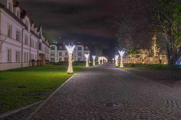 Gdansk Polônia Dezembro 2017 Iluminação Natal Inverno Noite Parque Oliwa — Fotografia de Stock