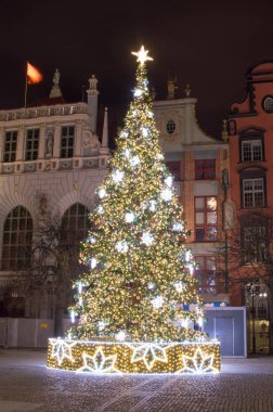 Polonya eski Gdansk kasaba geceleri güzel bir Noel ağacı göster.