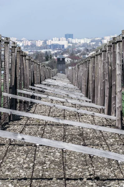 Люблін Квітня 2018 Вздовж Колючого Дроту Подвійний Паркан Табір Нацистської — стокове фото