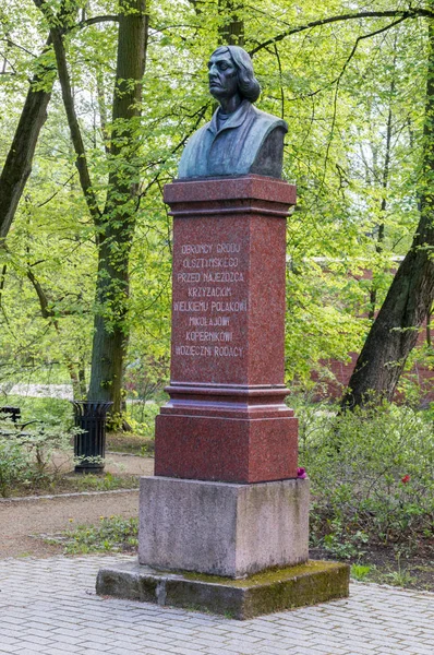 Olsztyn Polonia Maggio 2018 Busto Del Famoso Astronomo Nicolaus Copernicus — Foto Stock