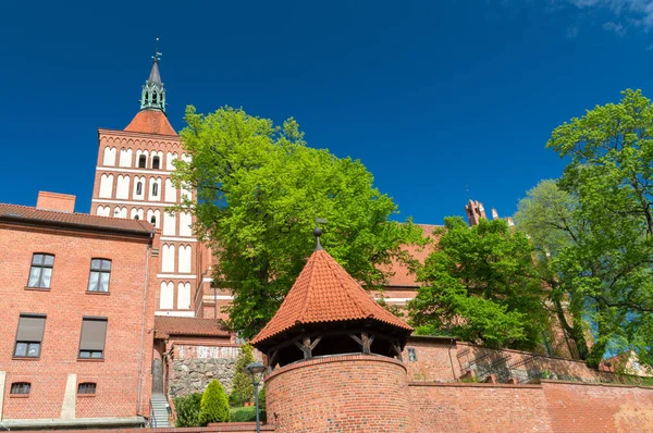 Kathedraal Basiliek Van James Apostel Pools Bazylika Archikatedralna Jakuba Olsztynie — Stockfoto