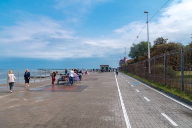 Zelenogradsk 'ta Baltık Denizi kıyısında gezinti.