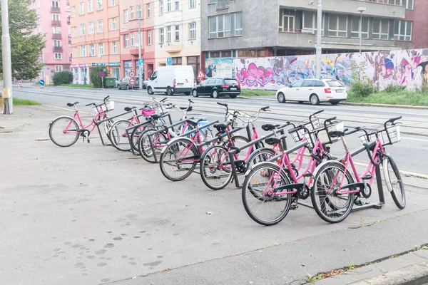 Rekola bicicleta da cidade para alugar . — Fotografia de Stock