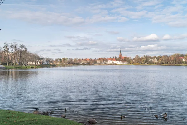 Pofajdok domowe männlicher See in szczytno. — Stockfoto