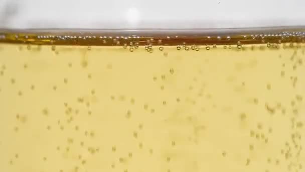 Schaumweinblasen Champagner Glas — Stockvideo