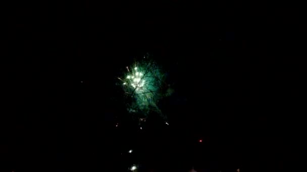 Multicolored Bursts Fireworks Celebration 2020 New Year — 图库视频影像