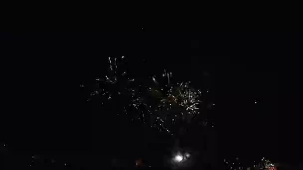 Fireworks Night Sky — 图库视频影像