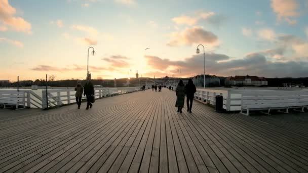 ポーランドソフト 2020年1月16日 木製の桟橋を歩く — ストック動画