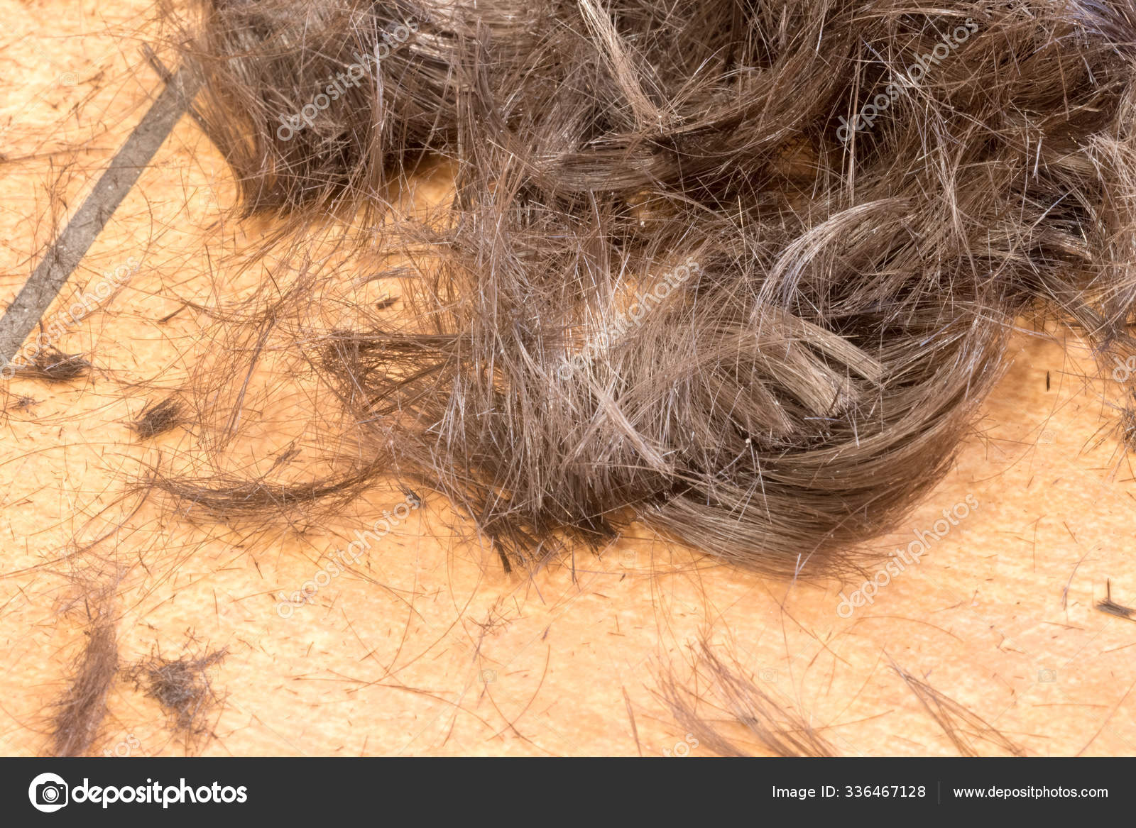 Cut Hair On The Floor Stock Photo C Robson90 336467128