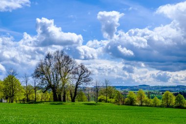 Alanlar ve Prag yakınlarındaki ağaçlar