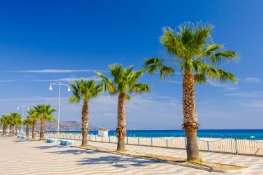 Soverato palm promenade