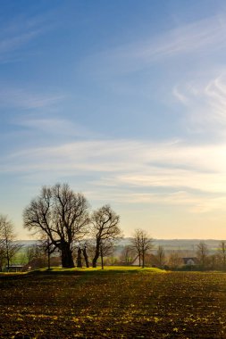 Ağaç kahverengi alan Prag sonbahar kenarındaki mavi gökyüzü altında tarafından